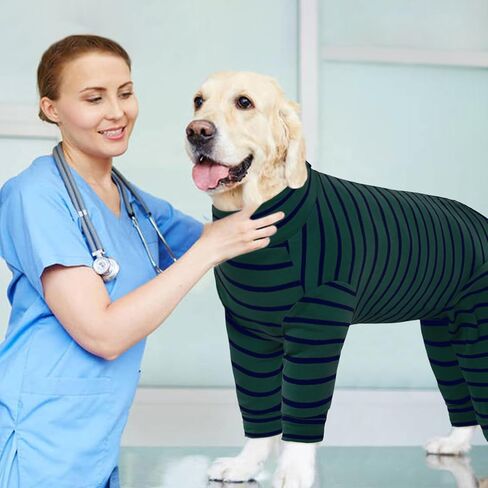 Kuoser Recovery Suit for Medium Dogs After Surgery, Long Sleeve Dog Surgery Recovery Suit, Dog Onesie for Abdominal Wounds Skin Disease, Green M in Kuwait