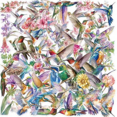 50pcs Hummingbird Stickers PET Transparent Stickers for Kids Waterproof Nature Stickers for Kids Teens Adults, Scrapbooking,Junk Journal, Journaling, Planner (HB) in Saudi Arabia