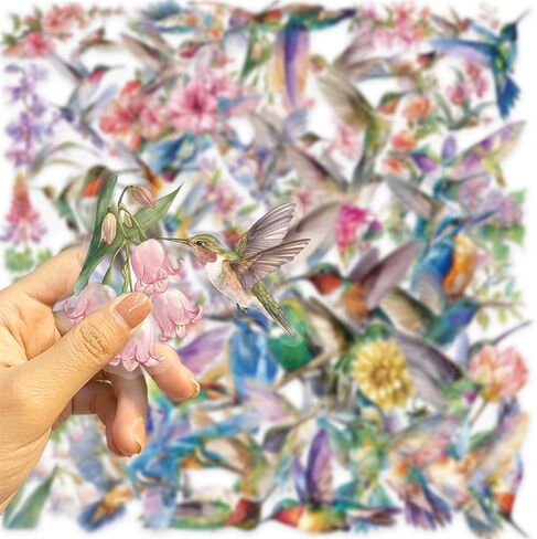 50pcs Hummingbird Stickers PET Transparent Stickers for Kids Waterproof Nature Stickers for Kids Teens Adults, Scrapbooking,Junk Journal, Journaling, Planner (HB) in Saudi Arabia