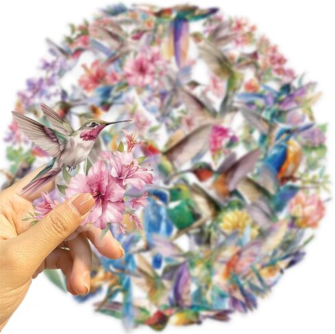 50pcs Hummingbird Stickers PET Transparent Stickers for Kids Waterproof Nature Stickers for Kids Teens Adults, Scrapbooking,Junk Journal, Journaling, Planner (HB) in Saudi Arabia
