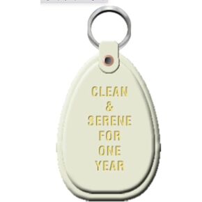 RecoveryChip Na Keychain White Glow 1 Year Hostercics keytag مجهول