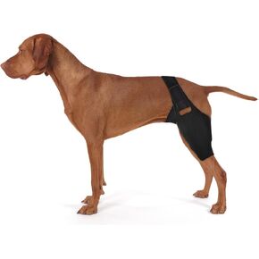 Dog Knee Brace Leg Braces - Dog Canine Knee Brace with 9 Metal Stabilizers Dog Knee Brace for Torn ACL Muscle Sore Hind Leg Joint Pain Reduces Inflammation (XL)