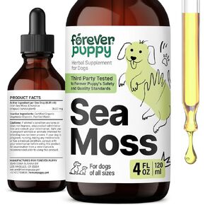 Irish Sea Moss Drops for Dogs - Thyroid & Energy Support for All Breeds & Sizes - Dog Food Supplements with Liquid Seamoss Extract - Vitamins and Supplements - Sugar & Alcohol-Free -4 oz