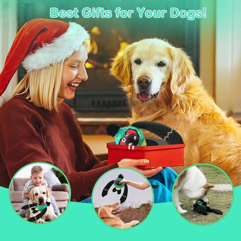 Tough Dog Toys – Crinkle Dog Chew Toys to Keep Them Busy, Interactive Treat Dispensing Puppy Puzzle Toys for Boredom Relief, Less Stuffed Pet Toys for Small, Medium and Large Dogs (Green) in Saudi Arabia