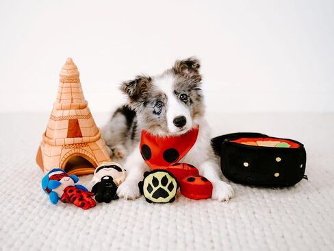 ZippyPaws Burrow Puzzle Plush Dog Toy, Interactive Squeaky Toy for Enrichment, Hide and Seek Game for Small to Medium Dogs, Miraculous Miracle Box in Saudi Arabia