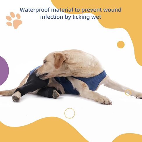 Dog Hind Leg Recovery Sleeve Dog Recovery Suit Breathable Sleeve to Stop Licking and Biting Firm and Secure, Adjustable Size, Comfortable Alternative to Cone Collars (Large, Rear Both Leg) in Kuwait