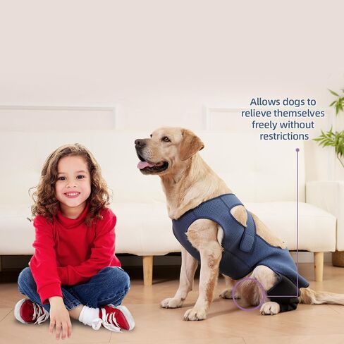 Dog Hind Leg Recovery Sleeve Dog Recovery Suit Breathable Sleeve to Stop Licking and Biting Firm and Secure, Adjustable Size, Comfortable Alternative to Cone Collars (Large, Rear Both Leg) in Kuwait