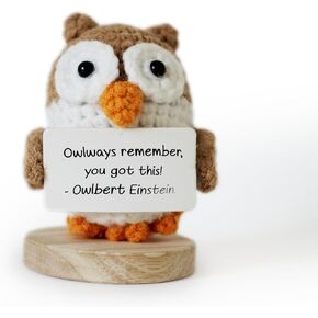 الدعم العاطفي من Altrego Owlbert Einstein Amigurumi Doll ، الكروشيه المصنوع يدويًا مع بطاقة إيجابية