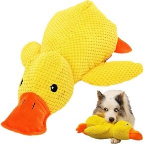 بطة مهدئة للكلب ، تلاعب يانع مع صوت quacking للكلب الصفراء الداخلية