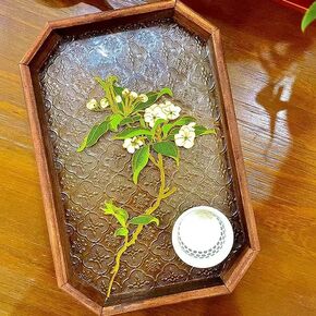 Magicaldiy Cloisonne Monamel Painting DIY Kit للبالغين المبتدئين ، DIY Filigree Monamel Glass Serning Trans ، Decord Home ، التراث الثقافي الصيني غير الملموس ، 7.6 "W × 11.4" L (الزهور البيضاء)