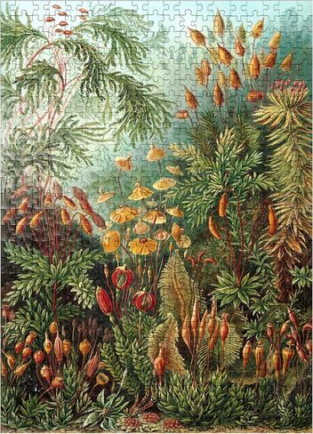 MyPuzzle Moss (Muscinae) - أشكال الفن في الطبيعة ، ملصق فني عتيق ، إرنست هيكل - بلغاز بانورت بقطع 500 قطعة للبالغين in Saudi Arabia