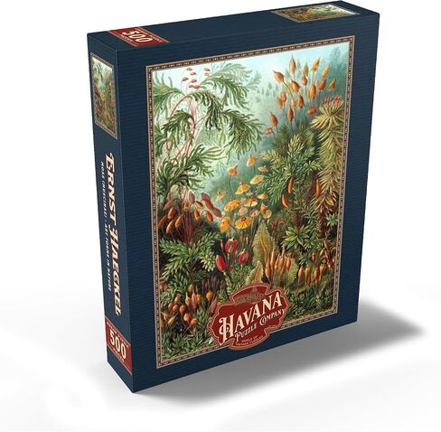 MyPuzzle Moss (Muscinae) - أشكال الفن في الطبيعة ، ملصق فني عتيق ، إرنست هيكل - بلغاز بانورت بقطع 500 قطعة للبالغين in Saudi Arabia