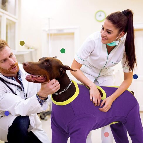 IECOii Dog Surgery Suit Dog,Adjustable Recovery Suit to Stop Licking,Large Coverage Onesie After Surgery Doggy Chest and Leg Wounds Bandages,Pet Shedding Shirt with Long Sleeve,Purple,Large in Saudi Arabia