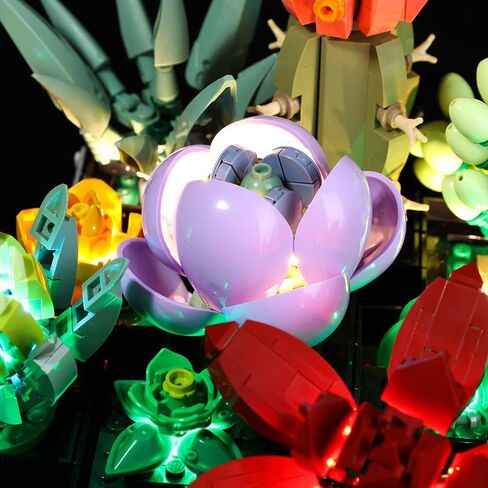 Kyglaring LED Lighting Kit for Lego Wicked Glinda & Elphaba Dormitory Model Set, Compatible with Lego 75683 in Kuwait