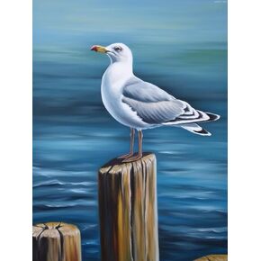 MOER SKY Seagull Diamond Art Kits 5D Diamond Painting Beach Animal Kits for Adults DIY Full Drill Gem Art for Home Decor Wall Decor Craft 12x16inch/30x40cm