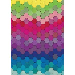 Buffalo Games - Lynn Haughton - Hexagon Multicolor - Large Piece Jigsaw Puzzle for Adults - Challenging Puzzle Perfect for Game Nights - Finished Size is 21.25 x 15.00