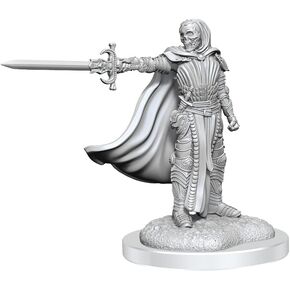 المنمنمات الرائعة لـ Wizkids D & D Nolzur: Death Knights