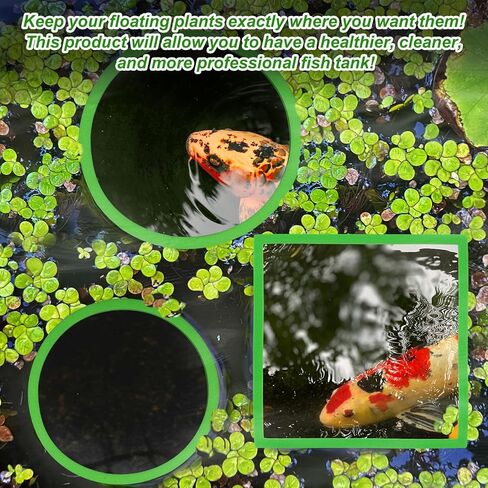 10pcs Aquarium Floating Plant Rings, Foam Fish Feeding Rings Fish Tanks Rings Floating Plant Corral Feeding Ring for Keeping Floating Plants in Place (5 Green Round + 5 Green Square) in Saudi Arabia