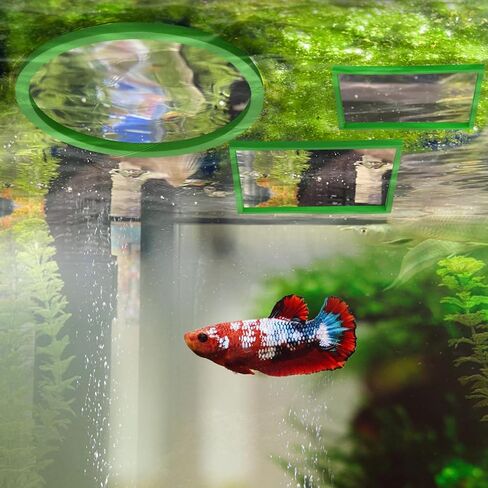 10pcs Aquarium Floating Plant Rings, Foam Fish Feeding Rings Fish Tanks Rings Floating Plant Corral Feeding Ring for Keeping Floating Plants in Place (5 Green Round + 5 Green Square) in Saudi Arabia