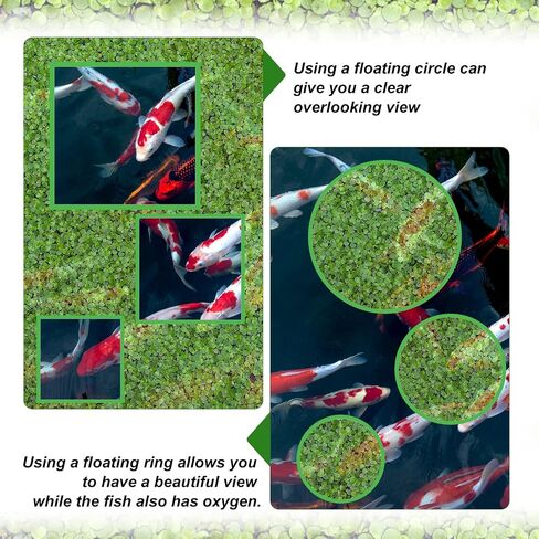 10pcs Aquarium Floating Plant Rings, Foam Fish Feeding Rings Fish Tanks Rings Floating Plant Corral Feeding Ring for Keeping Floating Plants in Place (5 Green Round + 5 Green Square) in Saudi Arabia