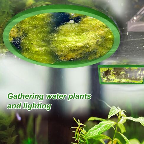 10pcs Aquarium Floating Plant Rings, Foam Fish Feeding Rings Fish Tanks Rings Floating Plant Corral Feeding Ring for Keeping Floating Plants in Place (5 Green Round + 5 Green Square) in Saudi Arabia