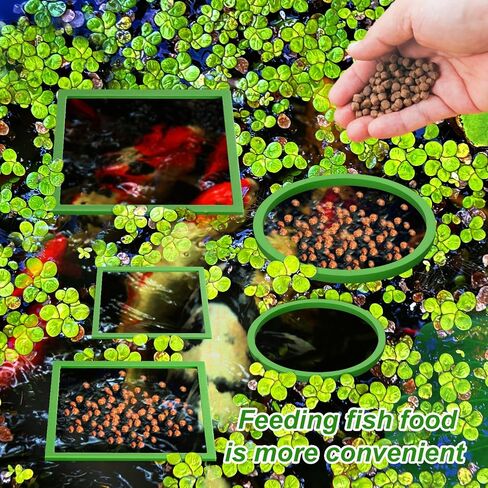 10pcs Aquarium Floating Plant Rings, Foam Fish Feeding Rings Fish Tanks Rings Floating Plant Corral Feeding Ring for Keeping Floating Plants in Place (5 Green Round + 5 Green Square) in Saudi Arabia