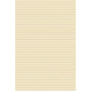 مخزون بطاقة Pacon Tagboard (5191)