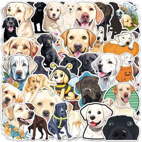 50 PCS Labrador Retriever Pack Fail Fail Teens Onvels ، ملصقات كلب كرتون لطيفة لزجاجات المياه ، ملصقات لابرادور لابرادور المضاد للفيروسات للفينيل لابرادور لوبرادور للأمتعة.