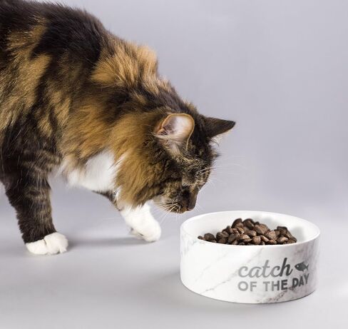 pearhead Catch of The Day Pet Bowl, Ceramic Pet Food Or Water Bowl, Cat Feeding Accessories, Pet Owner Gifts in Saudi Arabia