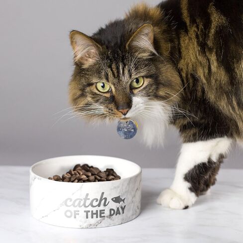 pearhead Catch of The Day Pet Bowl, Ceramic Pet Food Or Water Bowl, Cat Feeding Accessories, Pet Owner Gifts in Saudi Arabia