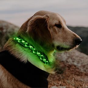 Luwint Stylish Light Up Dog Collar, LED Dog Collar USB Rechargeable - Safety Glow in The Dark for Night Walking & Camping | Adjustable, Waterproof, High Visibility Green