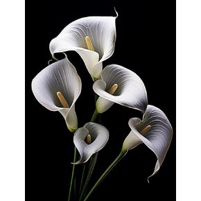 DIY 5D Diamond Art Painting Kits للبالغين بالأبيض والأسود Calla Lily Round Full Drill Canvas Cross Stitch Art Kit Painf