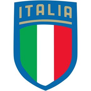 Set of 5 Italy Flag Crest Iron on Screen Print Fabric Applique Machine Washable Transfer Italian Flag