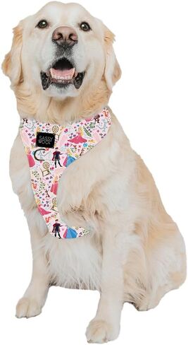 Dog Collar Disney Princess Sleeping Beauty Aurora - M, Adjustable, Durable, Comfortable and Stylish Pet Accessories for Medium Dogs - Officially Licensed in Kuwait