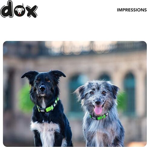 DDOXX NYLON COG COLLAR - كلاب الياقات القوية والقابلة للتعديل - M (الأحمر) ، طوق الكلب الأليفة التوت in Kuwait