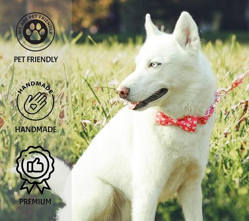 Tunkoo Pink Plaid Dog Collar with Cute Bow, Stylish Rose Gold Metal Buckle, Soft Cotton Collars for Small Medium Large Dogs– Comfortable Pet Accessory, S in Kuwait