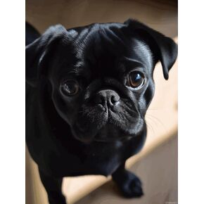 Upablunso Black Pug Dog Puppy Puppy Diamond Painting Kits Cute Gem Art Paint