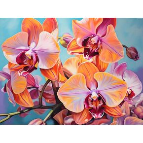Qazwsx Orchid Flower