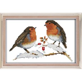 Abillyn Embroidery Cross Stitch Kits Two Little Birds Stamped with Printed Pattern Starter Kit (Birds)