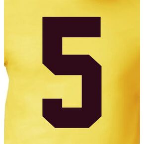 6" RED -Toned Iron on Numbers for Clothing，Jersey Numbers，Large Iron on Numbers for Jersey Heat Transfer Numbers for Sports Uniform Baseball Football T-Shirt(Style A) (Hibiscus 1)