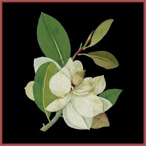 Orenco Originals Magnolia Flower Mary Delany Constr Cross Gritge Pattern