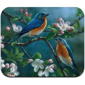 Eastern Bluebirds Blue Birds Thrush Low Profile Thin Mouse Pad Mousepad