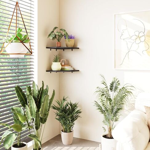 Arborynth ركن الجرف جدار جبل، مجموعة من 2 الزاوية رفوف عائمة الجدار منظم، رف جدار الزاوية عرض الخشب لملحقات التلفزيون، غرفة نوم، مطبخ، غرفة المعيشة، بني ريفي وأبيض in Kuwait