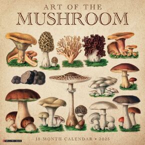 Willow Creek Press, Art of the Mushroom 2025 Wall Calendar