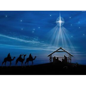 Qazwsx Diamond Painting Adult Painting Kits Christmas Nativity مشهد الطفل في المذود جوزيف ماري راعي غرفة نوم غرفة المعيشة