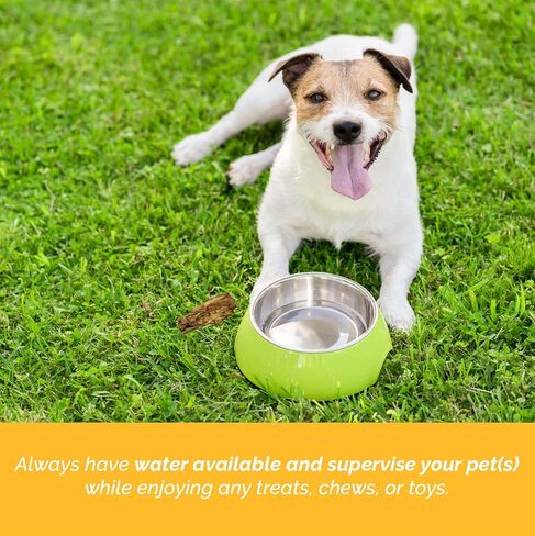 Pig Ears Dogs Treats, 100% Natural Long Lasting Pork Dog Chews, Ideal for All Chewers, Delicious and Healthy Dog Treats, Pig Ear Treats (One Pack of 30) in Kuwait