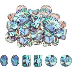 Superfindings 20pcs paua shell cabochons ، 12 × 3 مم ، حبات مستديرة من أذن البحر الطبيعية لصنع المجوهرات ، الحرف اليدوية والزينة.