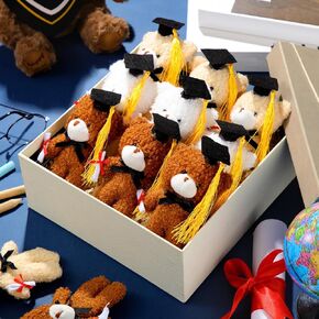 24 Pcs Mini Graduation Bear Plush Toy Gift 5.5 Inch Stuffed Animal with Black Cap Class of 2025 Small Graduation Present Tiny Bear Plush Animal for Kindergarten Elementary High School College Party