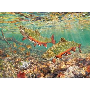 Cobble Hill 1000 Piece Puzzle - Trout Brook - مشمل ملصق عينة