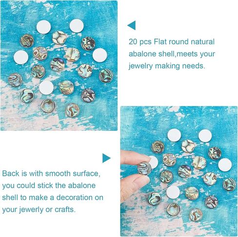 SUPERFINDINGS 20pcs Paua Shell Cabochons, 12x3mm, Natural Abalone Flat Round Beads for Jewelry Making, DIY Crafts & Embellishments in Saudi Arabia